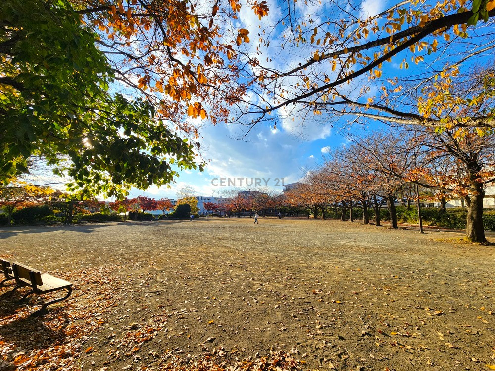 犬蔵さくらの丘公園