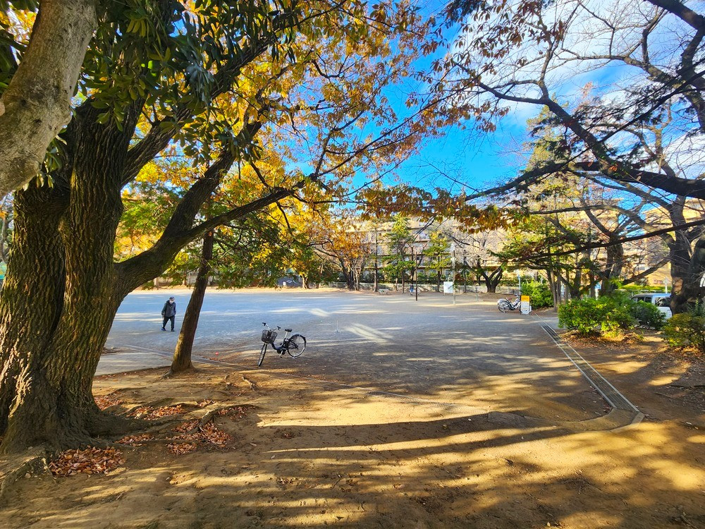 宮前平公園