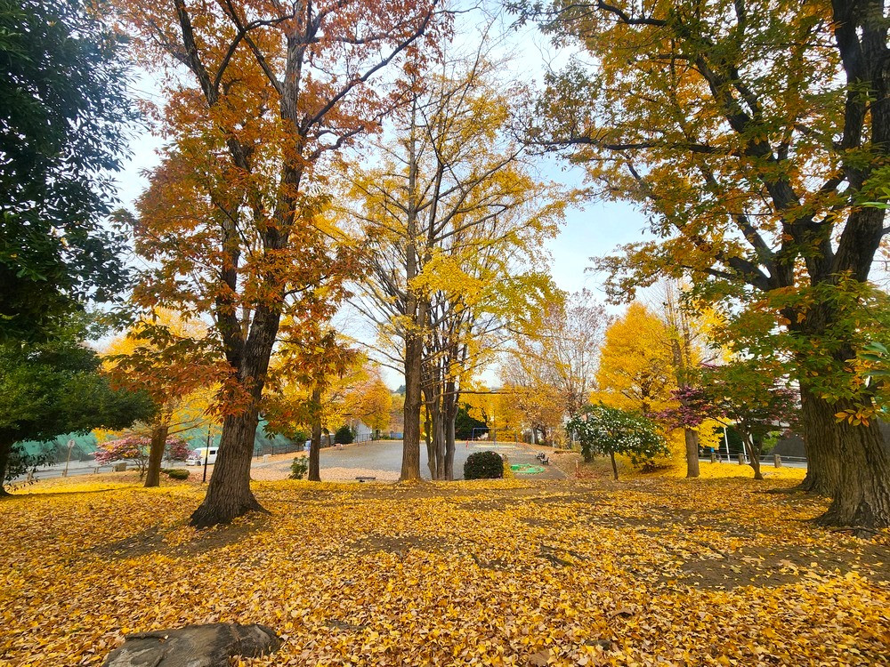 新石川中村公園