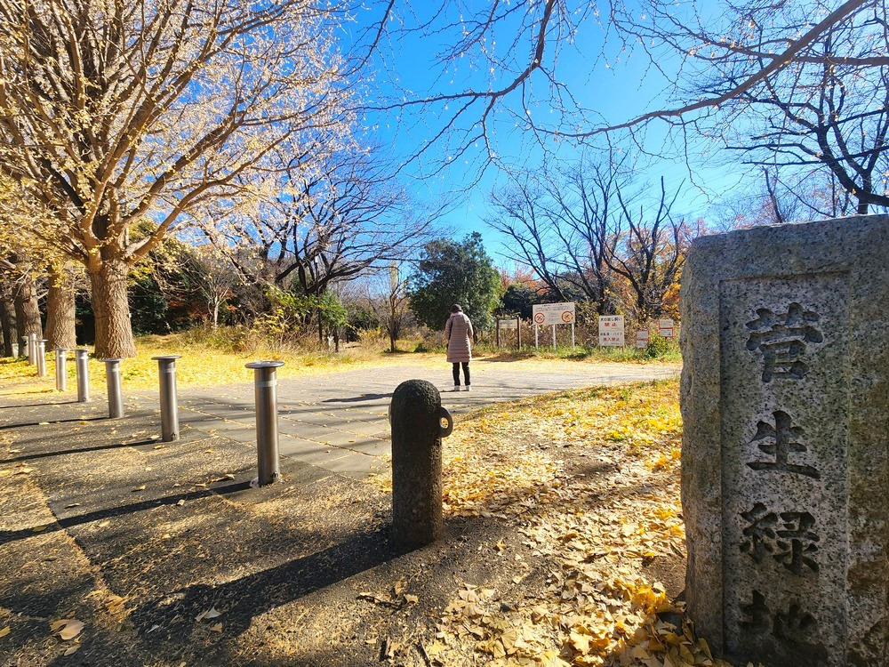 菅生緑地