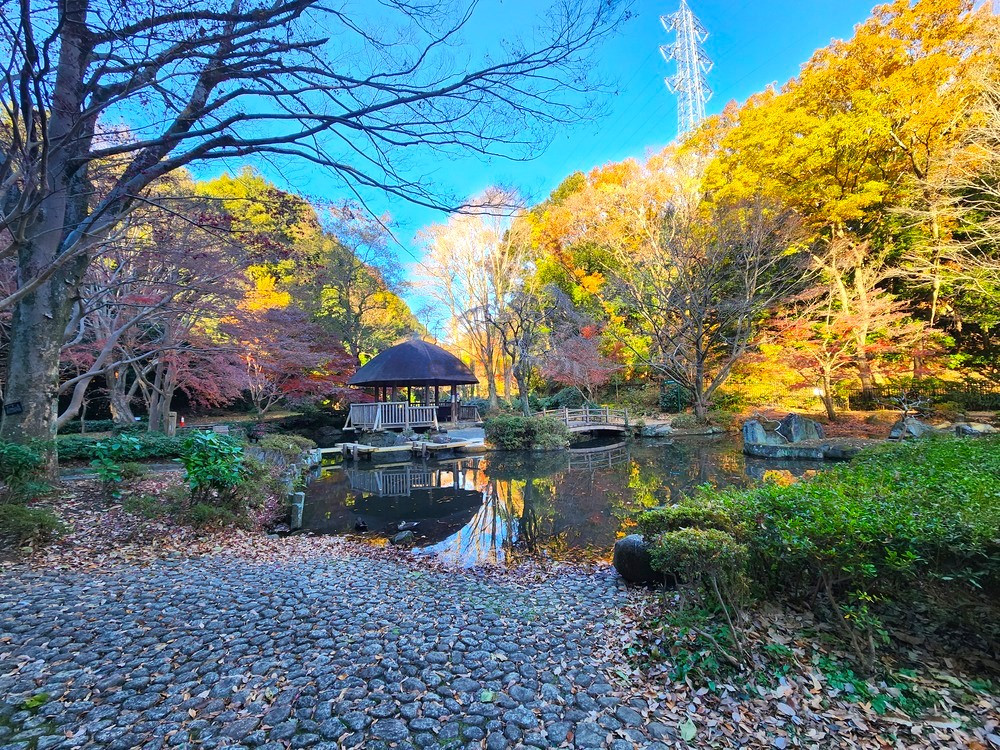 県立東高根森林公園